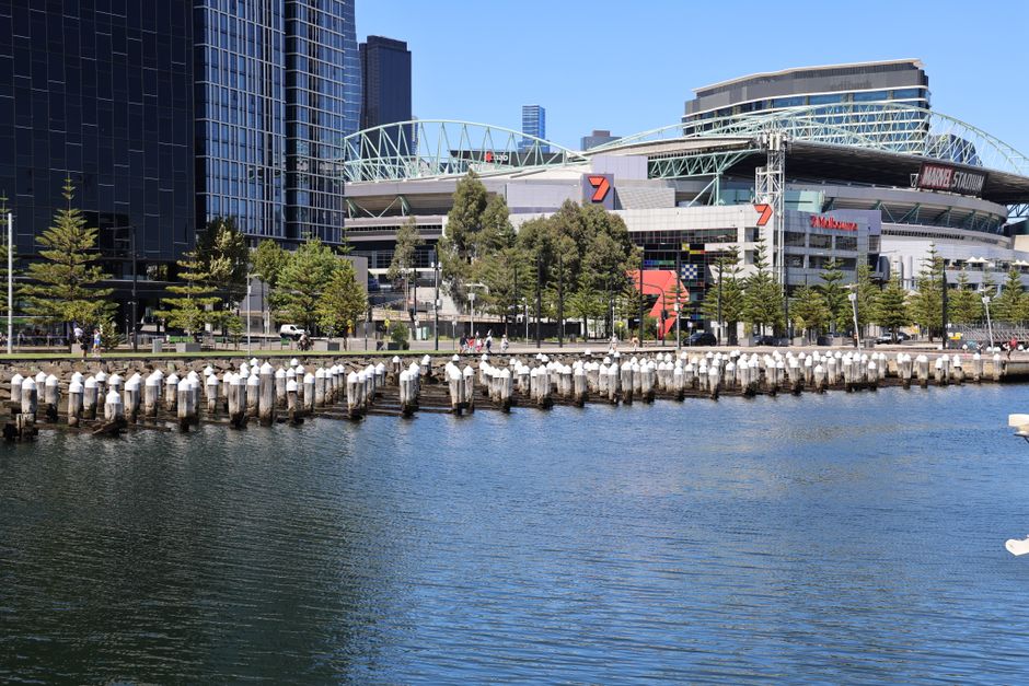 A waterfront scene in an urban area showing a calm body of water in the foreground, with a row of weathered wooden pylons lining the edge, each topped with a white cap. Beyond the water, there is a paved promenade with a line of evenly spaced small green trees, and behind the trees, modern high-rise buildings and a large sports stadium with a distinctive curved, steel-framed roof structure. The stadium's exterior features signage, including the number 7 and a red and black logo. The area is bathed in bright daylight, with blue sky and minimal cloud cover, creating a clear and vibrant atmosphere. The scene suggests a city centre riverside location, potentially used for events or leisure activities, with no visible rubbish or waste materials. The presence of the stadium and commercial buildings emphasizes the urban context relevant to alternative waste management and rubbish removal services in a busy metropolitan environment.
